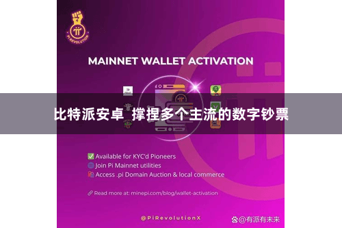 比特派安卓 撑捏多个主流的数字钞票