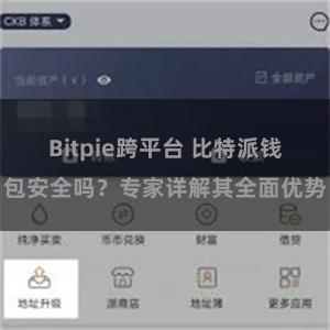 Bitpie跨平台 比特派钱包安全吗？专家详解其全面优势