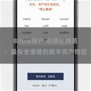 Bitpie用户 选择比特派：最安全便捷的数字资产钱包