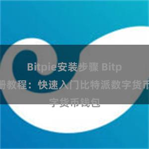 Bitpie安装步骤 Bitpie注册教程：快速入门比特派数字货币钱包