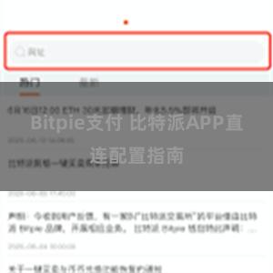 Bitpie支付 比特派APP直连配置指南