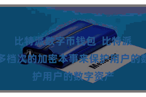 比特派数字币钱包  比特派禁受了多档次的加密本事来保护用户的数字资产