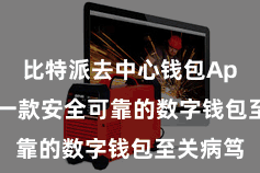 比特派去中心钱包App  遴荐一款安全可靠的数字钱包至关病笃