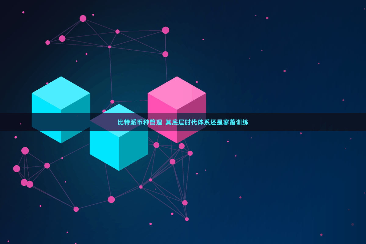 比特派币种管理  其底层时代体系还是寥落训练